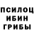 Галлюциногенные грибы Cubensis Vaso Pertsuliani