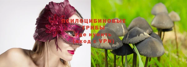гашик Зеленодольск