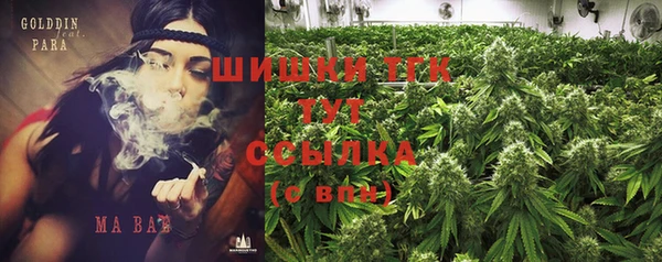 амф Зеленокумск