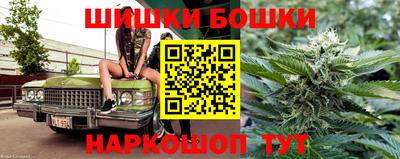 гидра Славгород