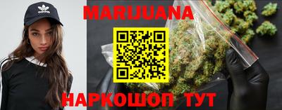 гидра Славгород