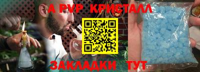 гидра Славгород