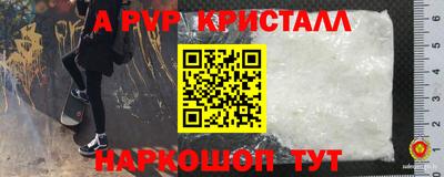 гидра Славгород