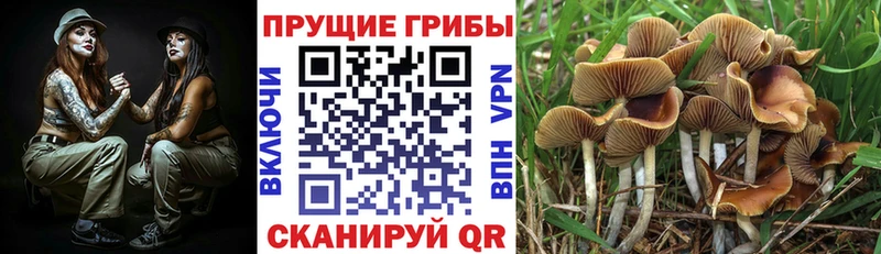 Галлюциногенные грибы ЛСД Стерлитамак