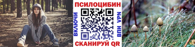 mega сайт  Стерлитамак  Псилоцибиновые грибы Psilocybe  хочу наркоту 