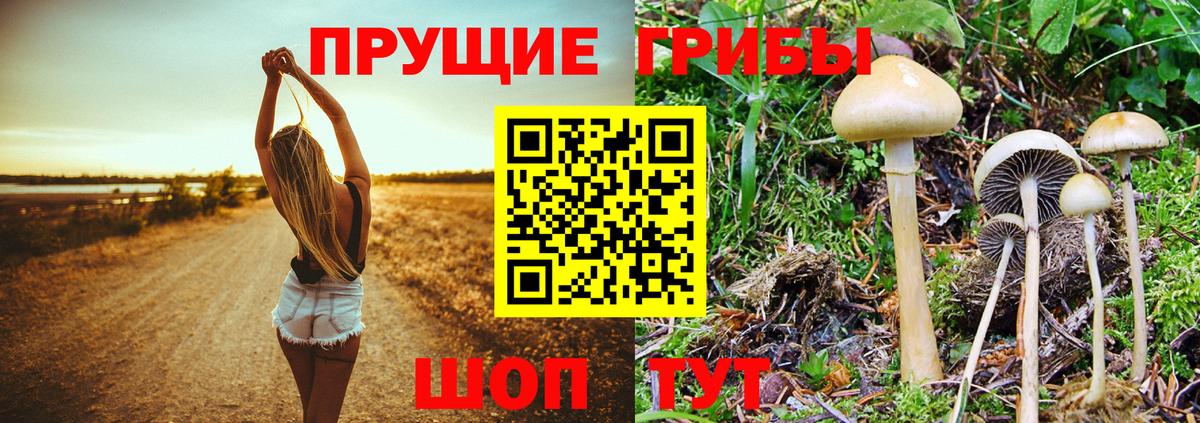 Псилоцибиновые грибы ЛСД  Вход с VPN  где найти   Стерлитамак 