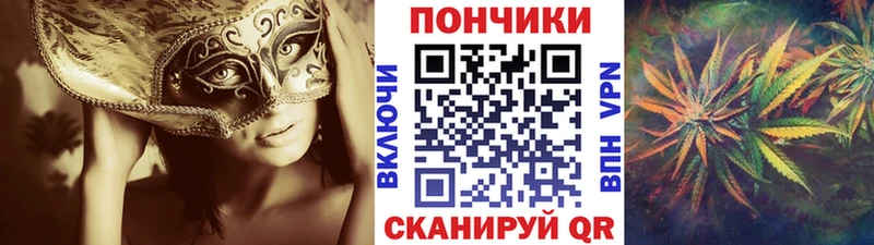ОМГ ОМГ ссылка  Стерлитамак  Шишки марихуана планчик 